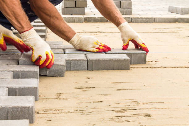 Best Driveway Paving Near Me  in Rehobeth, AL